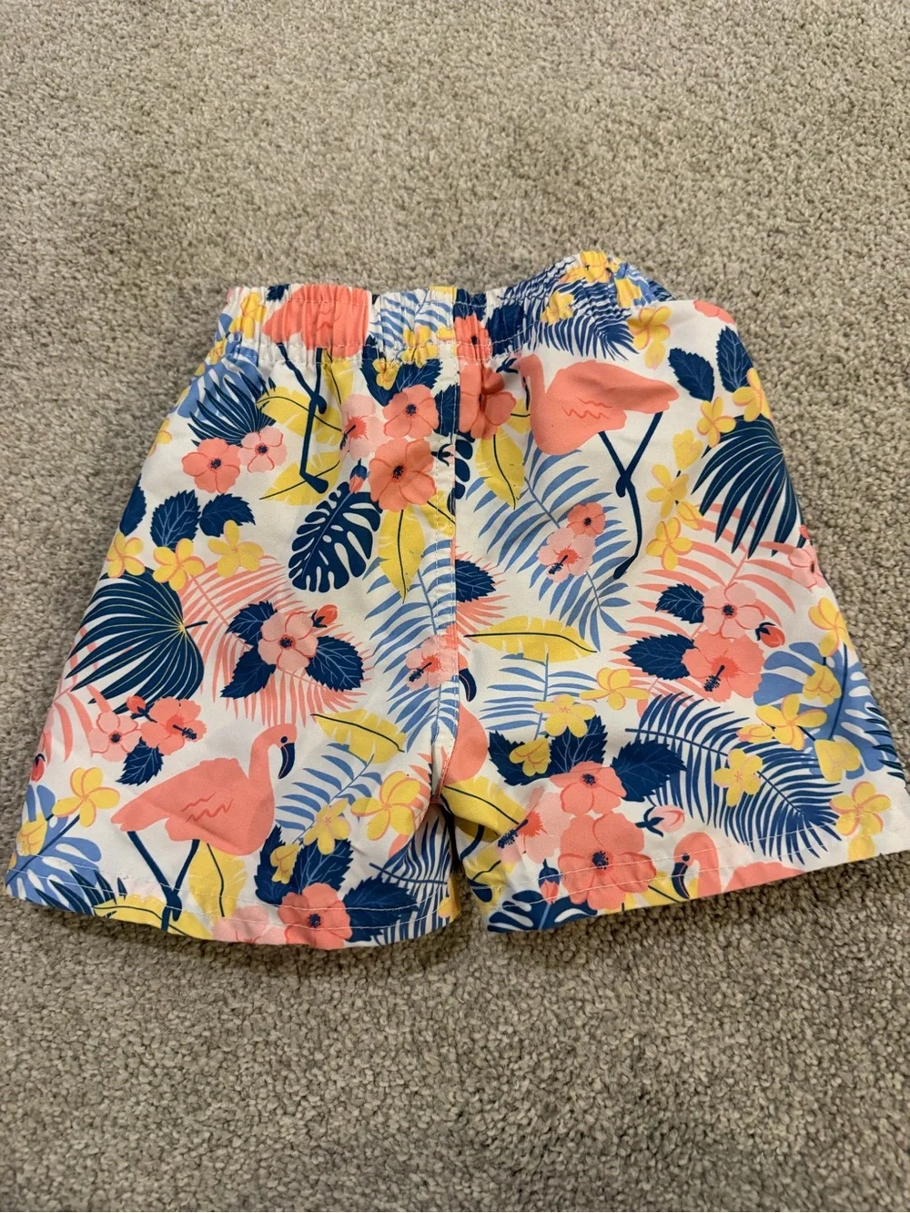 Set of 2 RuggedButts Toddler Swim Trunks, 18-24M